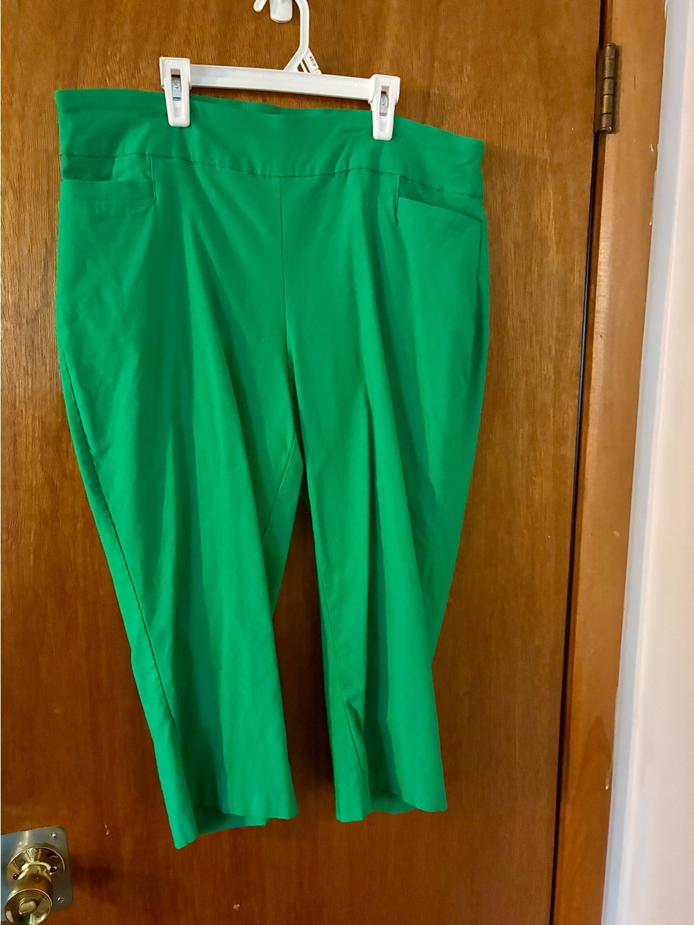 Kim Rogers Women’s Green Ponte Capri Pants